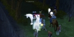20070607_33_livescreen.jpg