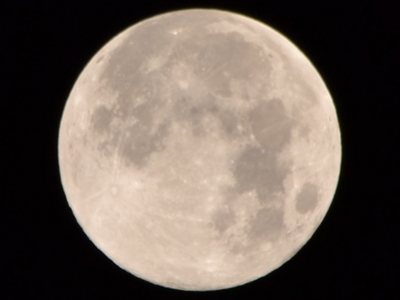 DSC_7272_t2.jpg